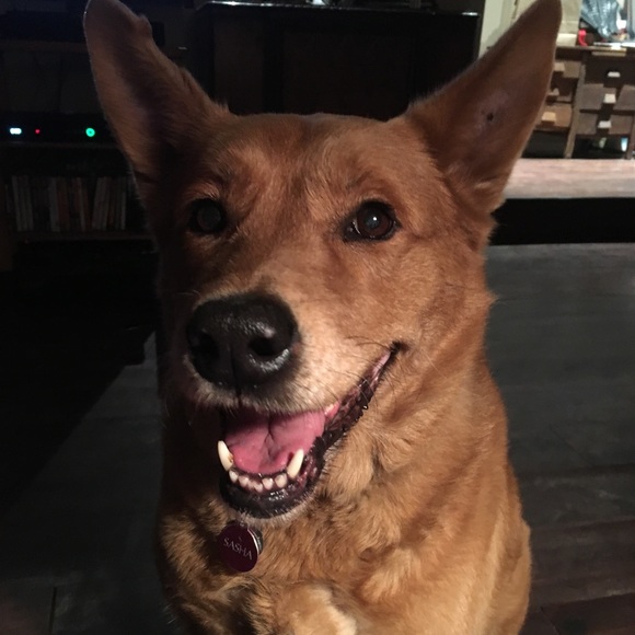 🌲Meet your Posh Ambassador🌻Andrea🌲 - Picture 2 of 5